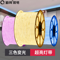  Lamp belt led three-color color-changing living room ceiling decoration household white light super bright long strip outdoor waterproof neon strip