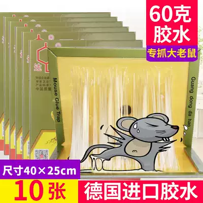 Dachau super-strong sticky mouse board paste the big mouse glue household medicine rat artifact to increase the thickening of a nest end