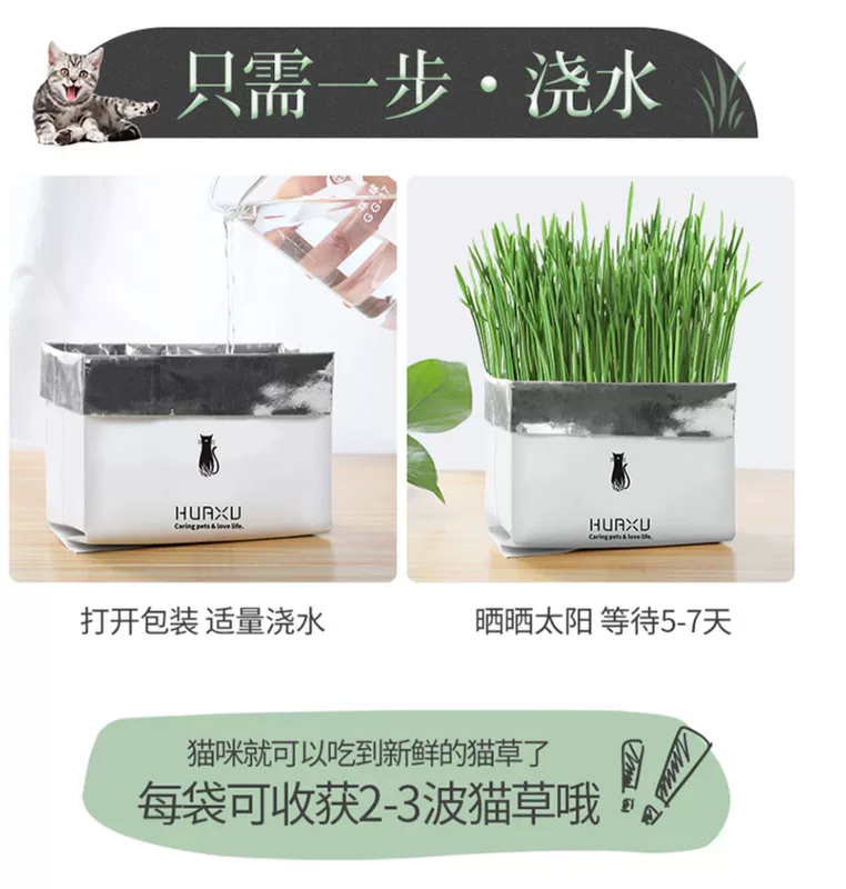 Mèo cỏ catnip đóng gói không bóng mèo mèo tẩy lông để giúp tiêu hóa hạt thủy canh - Đồ ăn nhẹ cho mèo