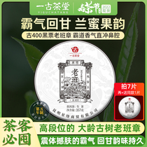 2022 Spring Tea Ancient 400 Black Ticket Old Ban Zhang Ancient Tree Puer Tea Raw Tea Yunnan Menghai Seven Sons Cake Tea Leaves 357 grams