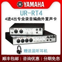 Отправить наушники Bao Sf Yamaha/Yamaha Steinberg UR-RT4 Аудио-интерфейс