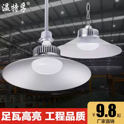 Wintertefu led industrial lamp factory lamp factory chandelier industrial workshop lighting 60W100W warehouse light super bright