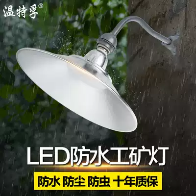 Wentefu LED waterproof mine lamp workshop energy-saving lighting chandelier 50W outdoor construction site Industrial engineering lamp