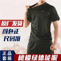 Physical clothing short sleeve suit mens T-shirt summer quick-drying shorts Wu physical training clothing breathable sports outdoor T-shirt