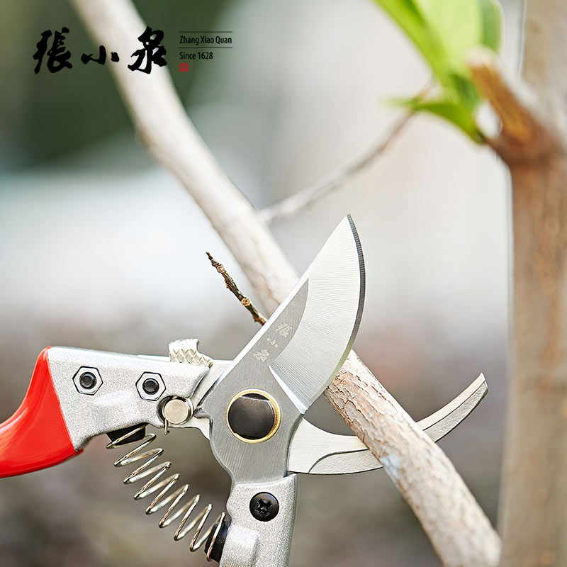 Zhang Koizumi Home Pruning Scissors imported steel landscaped scissors repair fruit tree flower branches with scissors