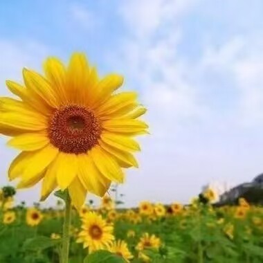 淘8淘8666厂家直销