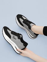 Daddy sports shoes womens thick-soled winter ins all-match spring and autumn soft-soled light casual mother travel and running