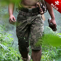Chief Summer new Outdoor camouflan Seven Pants Mens Army Memes for Tactical Training Mountaineering Fishing Casual Shorts
