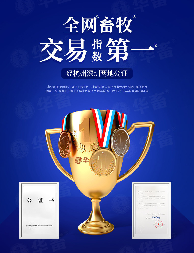 Hua ankuan Edition-Tiandao-Recovery _02.jpg