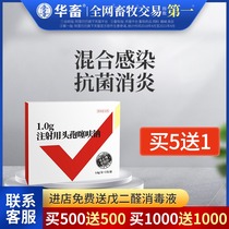 Chinese animal medicine Ceftiofur sodium powder for injection Pig medicine Rabbit cattle medicine Sheep medicine Chicken medicine Poultry medicine Veterinary medicine Pioneer