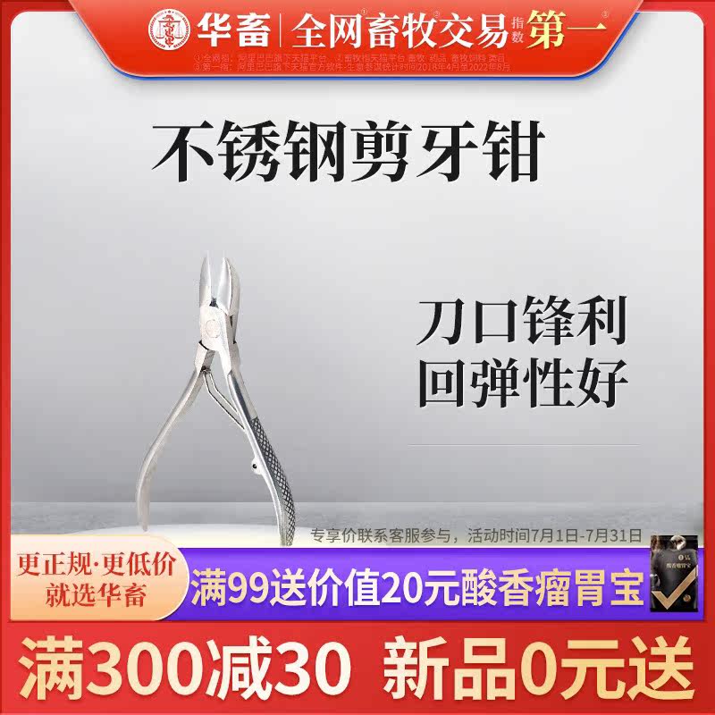 Chinese livestock stainless steel tooth cutter pliers pig with large teeth cutting rabbit piglet tooth pliers broken tooth pliers pig farm pig equipment
