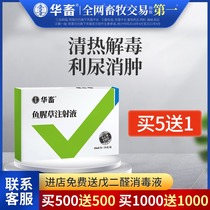 Huafu veterinary medicine Houttuynia injection Veterinary pig medicine Rabbit cattle medicine Sheep medicine Diuretic Tong leaching swelling pus discharge