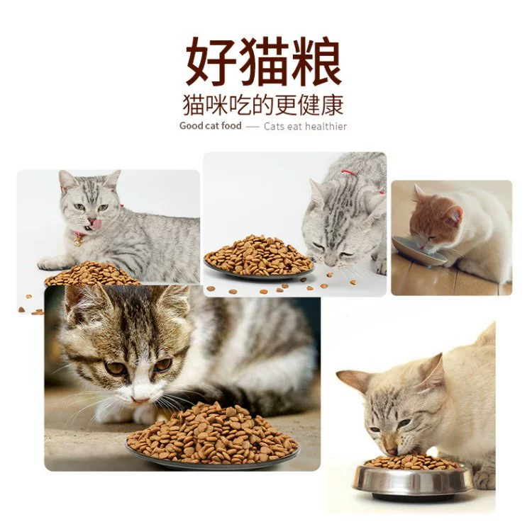 Thức ăn cho mèo Trung Quốc 3 kg cá hồi biển hương vị thức ăn cho mèo túi lớn vào mèo đi lạc mèo thức ăn chính vật nuôi cũ - Cat Staples