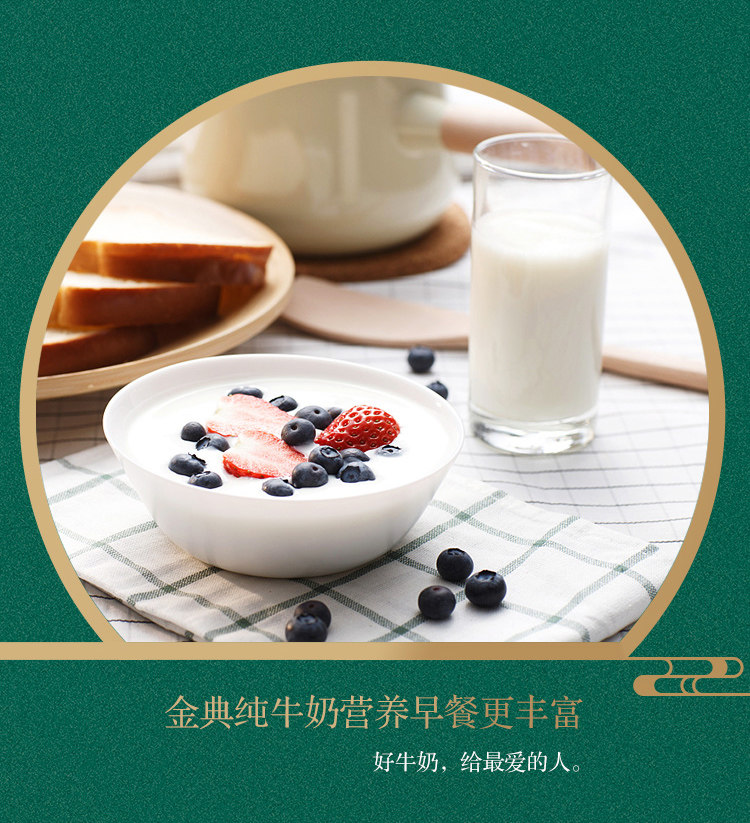 伊利 金典 高蛋白纯牛奶 250ml*12盒 图7