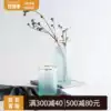 Southern Cross Nordic ins Gradient Frosted Glass Vase Transparent Fresh Straight Tube Hydroponic Flower Vase Watercolor