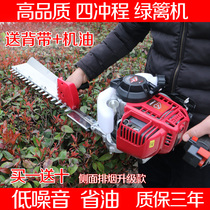 4 Four-stroke knapsack petrol hedge trimmer landscaping tea tree tea Trimmer