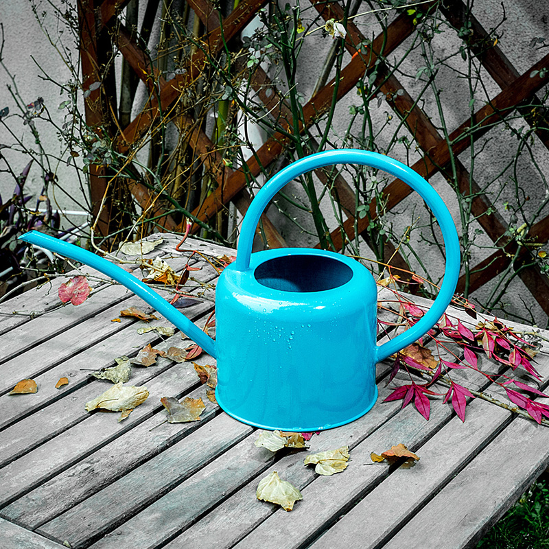Sprinkler pot, watering pot, watering pot, pastoral countryside export, Europe, America, Japan, South Korea, iron, gardening, fleshy, slender, mouth medium