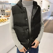 Hồng Kông gió mùa đông cotton vest nam phiên bản Hàn Quốc đẹp trai không tay áo khoác ấm áp đôi mẫu áo dày trùm đầu cotton quần áo thủy triều