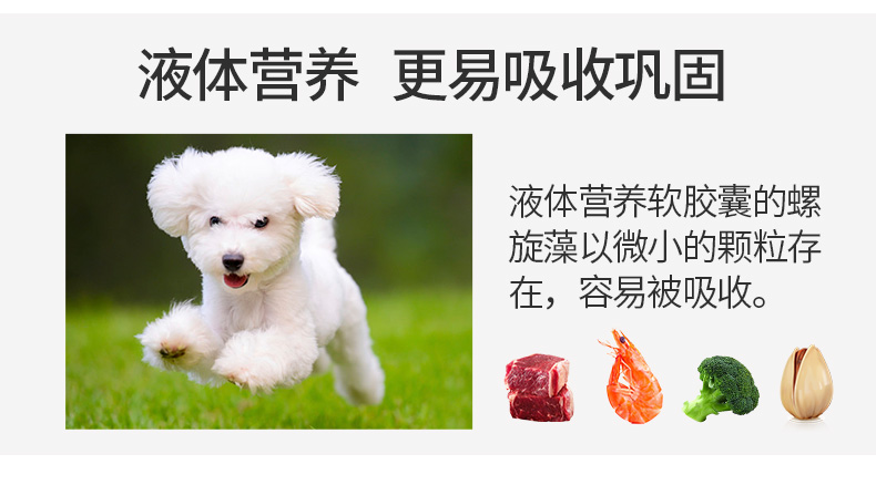 Pet Spirulina Soft Capsule Dog Cat Teddy Golden Hair Bíchon Satsuma Mũi đen Làm đẹp Sản phẩm chăm sóc mắt sữa cho mèo bệnh