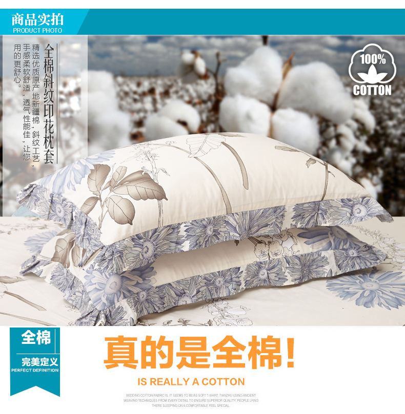 Vỏ gối cotton nguyên chất Nam Cực cặp bông đơn 48 * 74cm dành cho người lớn ký túc xá gối