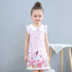 Bé chiếc váy mùa hè váy lớn công chúa con gái váy áo trẻ em mỏng của váy đơn lớp không khí màu hồng. 