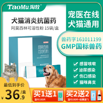 Cat cold medicine amoxicillin nasal anti-inflammatory dog sneezing pet cat dog cat nose branch treatment medicine