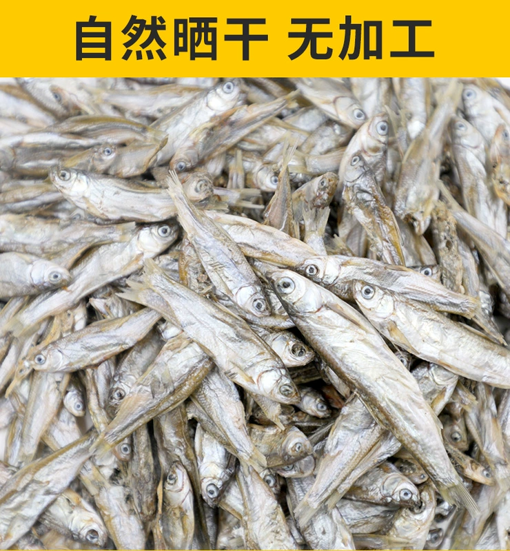 Mèo ăn nhẹ, cá nhỏ, mèo khô, đồ ăn nhẹ, gói lớn, mèo đông lạnh, đồ ăn nhẹ, mỡ, ức gà, thức ăn cho mèo, cá nhỏ, cá khô royal canin cho mèo con