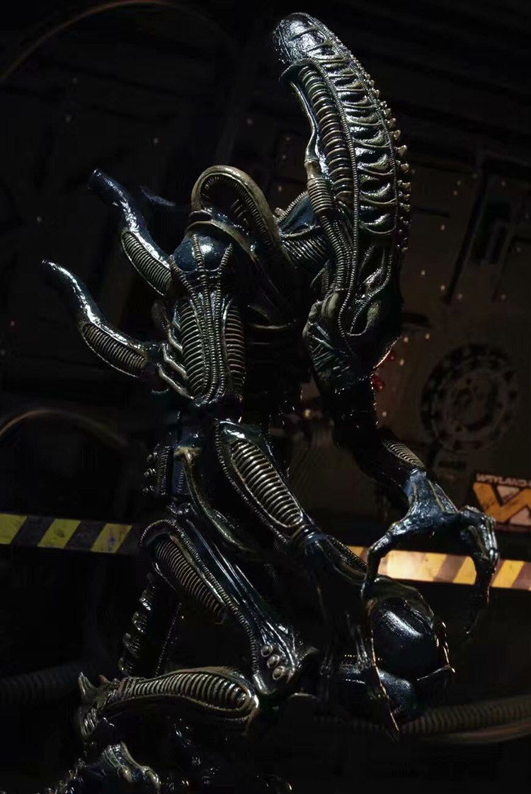 NECA Xenomorph Warrior Black Alien 7