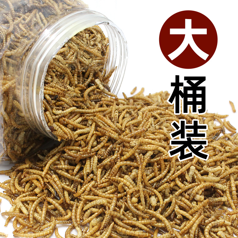 Bakery yellow worm dry mammal dry insect dry hamster snack dragonfish non-living living hamster grain