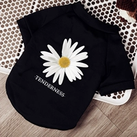 Маленькая ромашка (плюс бархат осенью и зимой)