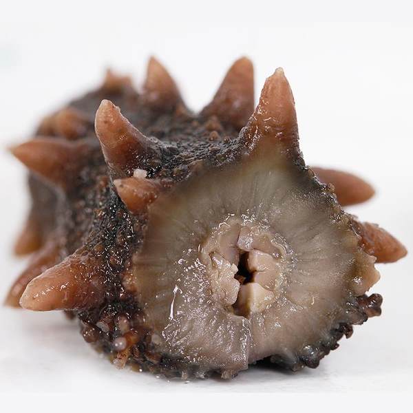 大块头 乐扬 大连淡干海参干货 50g(5-6头) 优惠券折后￥89包邮（￥189-100）