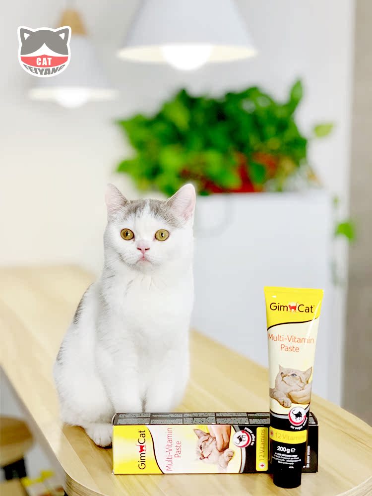 Thú cưng Philippines Junbao mèo pet vitamin mèo mèo dinh dưỡng Kem dinh dưỡng Chunbao Đức 200g - Cat / Dog Health bổ sung sữa cho chó mẹ