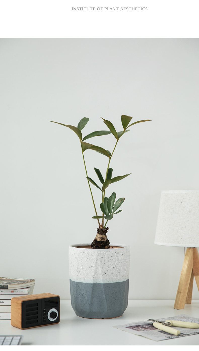 Heavy flowerpot ceramic yards of 30 cm diameter ground double color with white geometry creative tiger orchid European - style faceplate to plant trees