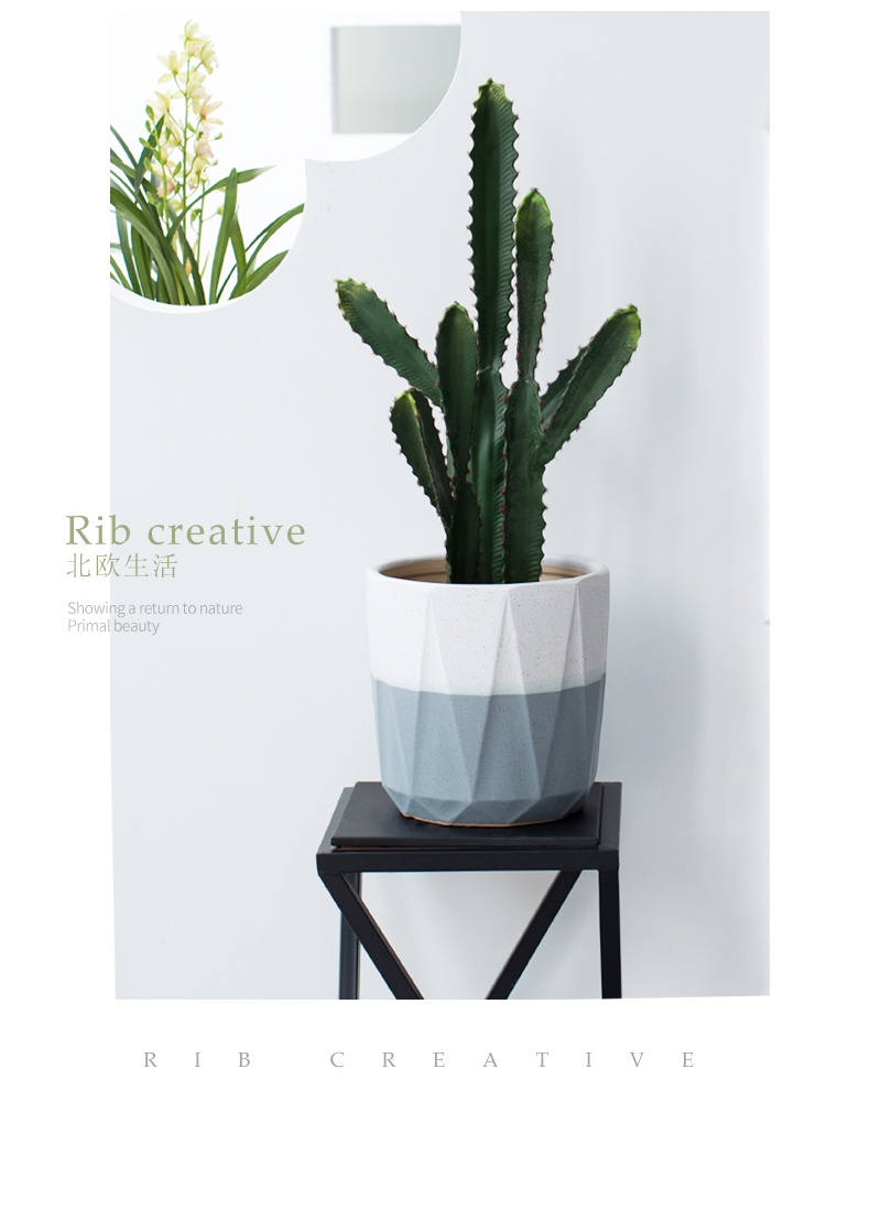 Heavy flowerpot ceramic yards of 30 cm diameter ground double color with white geometry creative tiger orchid European - style faceplate to plant trees