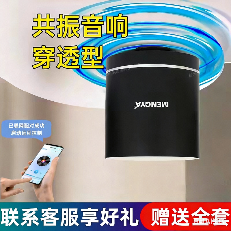 Bone Conduction Resonance Speaker, Remote Fully Automatic Directional Penetration Vibration Sound Box, Home-Use Gadget