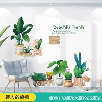 4 очаровательные растения