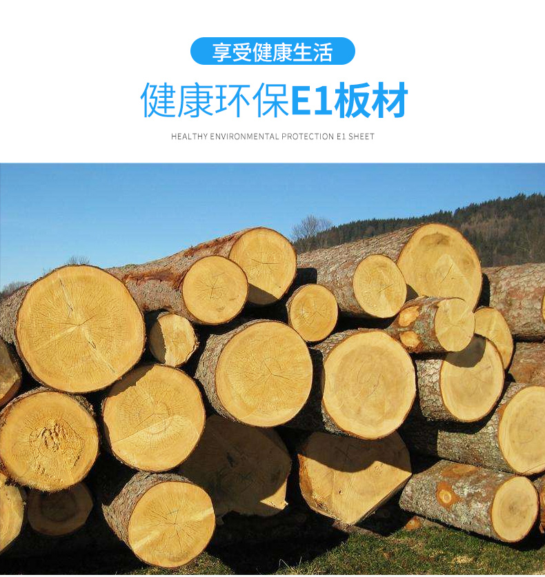 Bắc Âu hiện đại nhỏ gọn đa mục đích không gian đại sảnh giày hai ba tủ lưu trữ lớn lắp ráp tủ Continental - Buồng tu ao