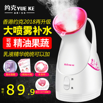 Hot spray steam face household hydration meter sprayer steam face beauty device nano moisturizing face instrument