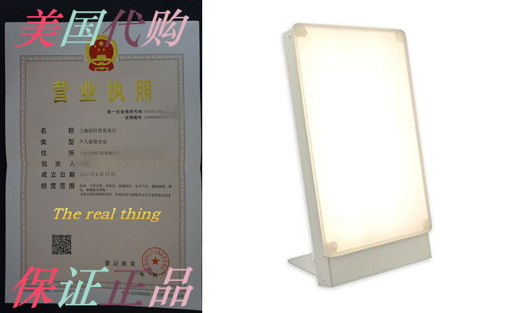 Northern Light Technology Travelite 10000 Lux Bright Lig