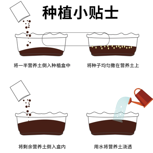 Betian Cat Grass Seed Hydroponic Catmint Cat Snack -снятая шарико