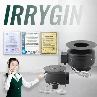 IRRYGIN Rui Zhi barbecue smoke exhaust machine fireworks pot shop smoke exhaust equipment exhaust fan barbecue smoking machine
