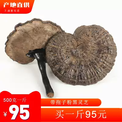 Authentic Guangxi with spore powder, semi-wild purple ganoderma lucidum, black Linzhi 500g, one kilogram can be sliced, powder, wine, soup
