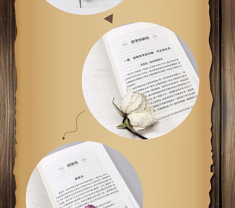 福尔摩斯探案集 10册全套 无删减全译本 图9