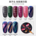Blueplace Nail Double Head Pattern Magnet Pen Cat Eye Gel Từ Bút DIY Plum Branding Printing Tool Pen - Công cụ Nail kìm cắt móng chân Công cụ Nail