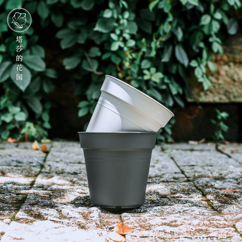 Tasha's Garden Hollen Pot Resin Plastic Flower Pot Gallon Pot Golden Ge Rose Root Creative Balcony Big Meat