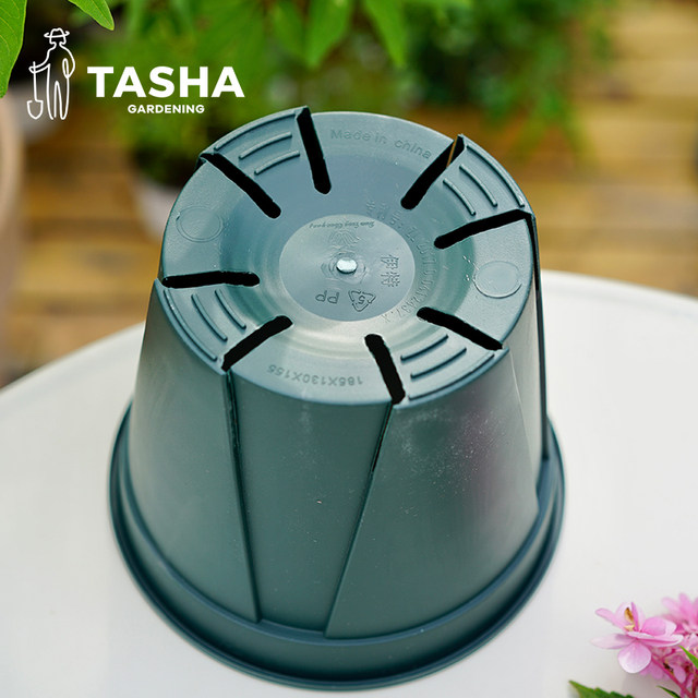 ສວນຂອງ Tasha's Green Mountain Pot ພາຍໃນເຮືອນ ການເຮັດສວນດອກໄມ້ເບ້ຍໄມ້ breathable ນ້ໍາ permeable ການຄວບຄຸມຮາກພລາສຕິກຫມໍ້ດອກ