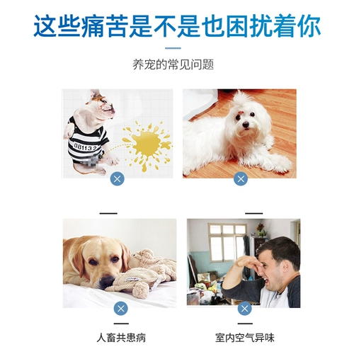 Дезинфекция домашних животных стерилизатора стерилизатора стерилизатора стерилизатора собаки.