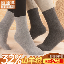 Hengyuanxiang wool socks women Spring and Autumn thickened plus velvet warm winter sleep cashmere socks mens middle tube floor socks