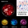 SIOUX Dụng cụ làm móng Trang sức Constant Heart Sequin Set 2 Piece Set 12 Bộ trang sức nghệ thuật Nail tùy chọn - Công cụ Nail dụng cụ sơn gel