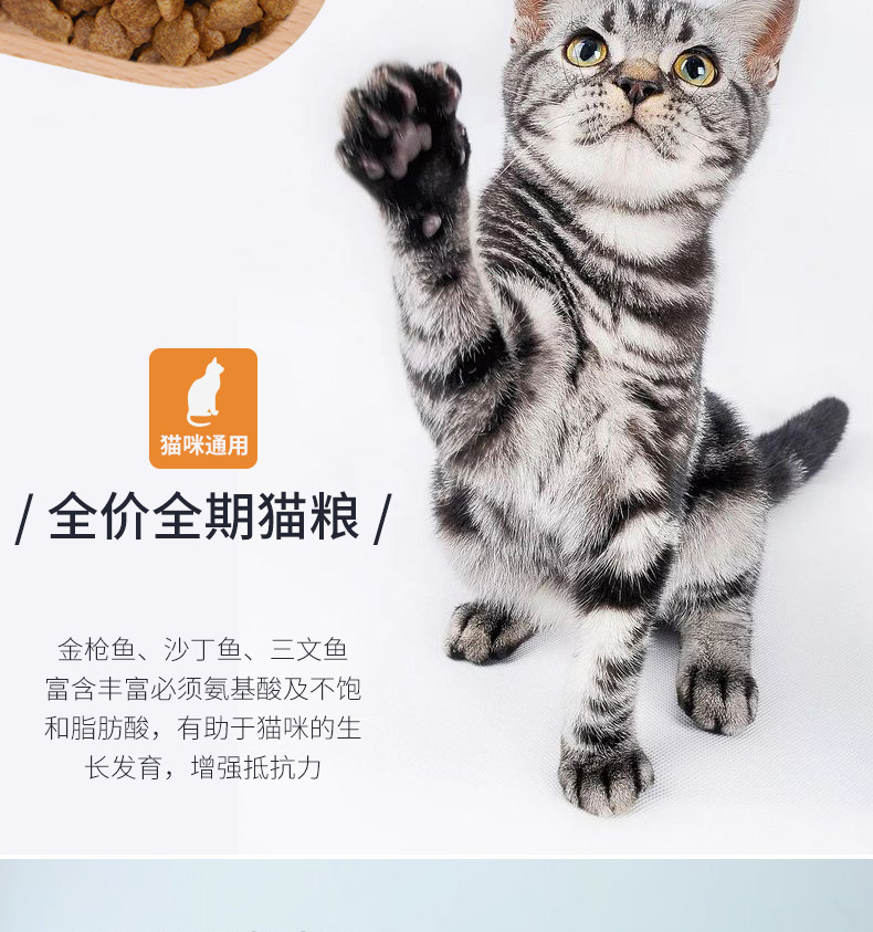 Thức ăn cho mèo Remy Gao Aoli 10kg20 kg Anh mèo xanh ngắn đẹp vẻ đẹp đại dương ngắn cá tươi vào thức ăn cho mèo - Cat Staples bán thức ăn cho mèo
